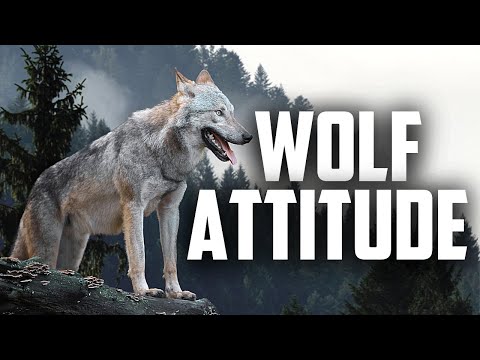 WOLF ATTITUDE (Wolf Mindset)  - Motivational Video For Those Fighting Alone (Wolf Motivation)