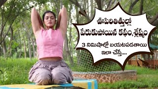How to Reduce Phlegm in Lungs | Controls Cold and Cough | Lung Capacity |Yoga with Tejaswini Manogna