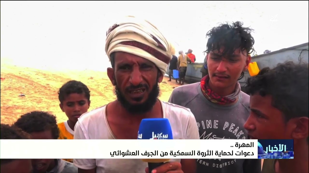 دعوات لحماية الثروة السمكية من الجرف العشوائي في المهرة