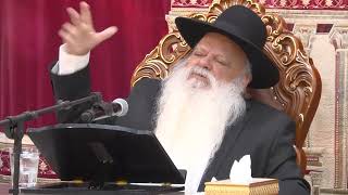 איפה אלוקים היה בשואה | הרב דניאל זר