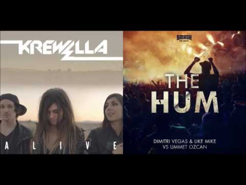 Dimitri Vegas & Like Mike vs. Ummet Ozcan - The Hum vs. Krewella - Alive ( Alican Mashup )