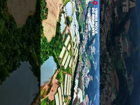 As incríveis plantações de tomate Venda Nova do Imigrante ES