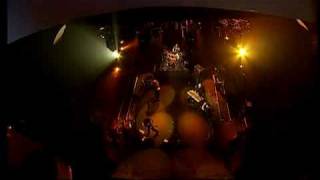 Andromeda - Chameleon Carnival