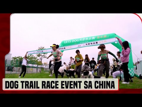 Chinese dog owners race for glory and health in new fitness trend