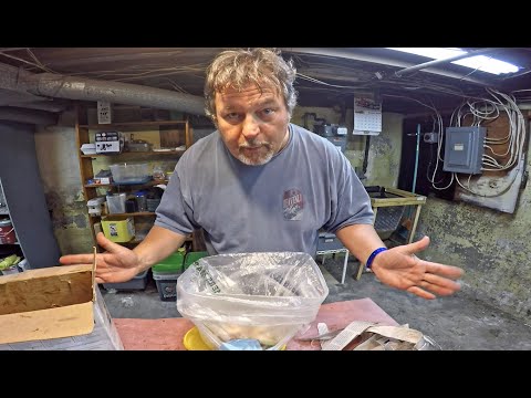 Horizontal migration status check after 7 days - vermicomposting