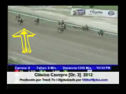 THE MOST HUGE ACCIDENT IN THE HISTORY OF A DEBUTANT IN NATIONAL HORSE RACING AND IN A CLASSIC