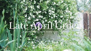 Gardening：Create a natural atmosphere by effectively planting small flowers and perennials