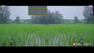 Download lagu | Pavsat Vede Man Mor Nachle -- Dj Omu | mp3