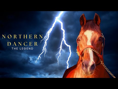 Northern Dancer - Temporal Movie Teaser