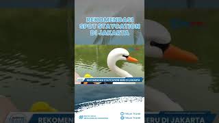 Rekomendasi Tempat Wisata di Jakarta, Ada Campark Ancol yang Beruansa Asri, Cocok untuk Staycation
