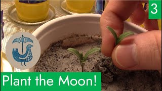 Plant the Moon with Team Rainbird! EP 3