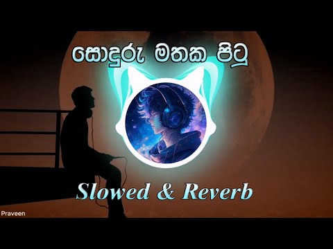 Soduru Mathaka Pitu ( සොඳුරු මතක පිටු ) |Slowed & Reverb |