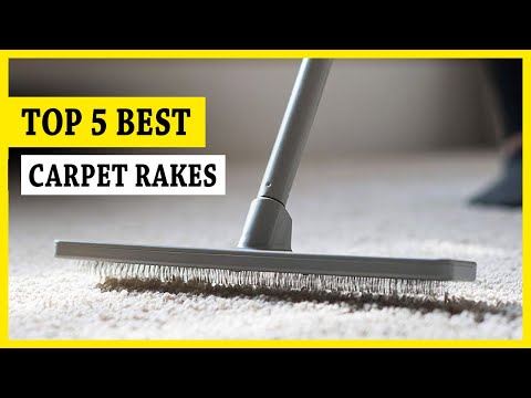 5 Best Carpet Rakes || You Can Buy