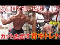 【筋トレ】ボディビル大会2週間前のカットを出す背中のトレーニング!5種目で背中全体を追い込む!