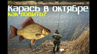 Как клюёт карась в октябре