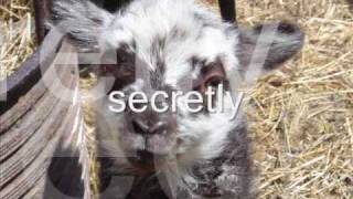 it will be me -Melissa Etheridge