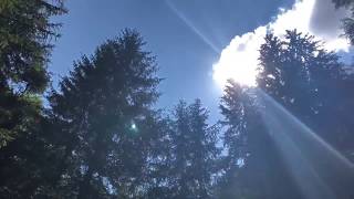 Видеодневник Мастера | ч 5 Откровенный разговор