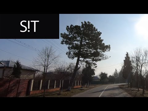 Nuci Judetul Ilfov In Trafic