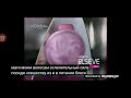 Loreal Elseve питание и блеск бальзам шампунь уход крем уход 