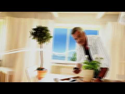 Sommar Med Ernst (Tv4)