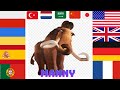 Ice Age In Different Languages ​​of The World Menny