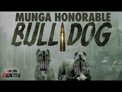 Munga - Bull Dog (Raw) November 2016