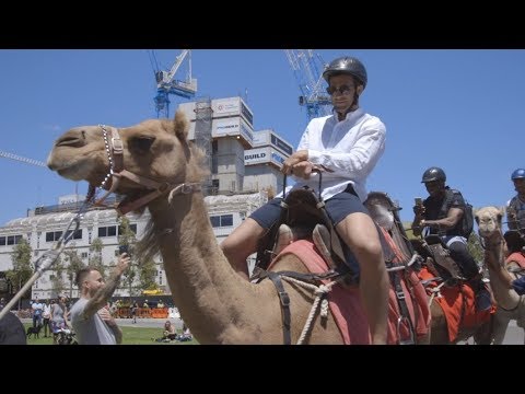 UFC 221: Open Workout Recap