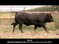 LOT 43 FALL 2014