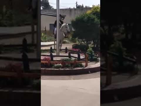 Profesor disfrazado de San Martín da un discurso emotivo a alumnos de su colegio