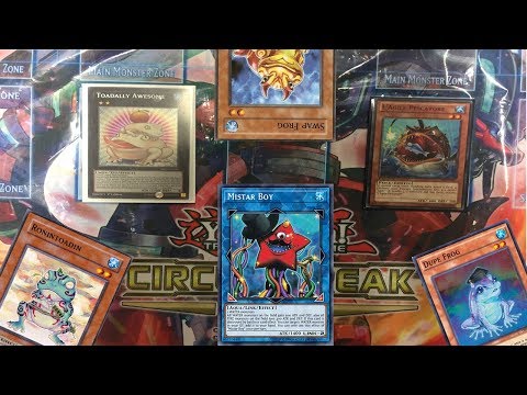 *YUGIOH* PALEOFROG NIMBLE  SPAM MISTAR BOY (october/november)