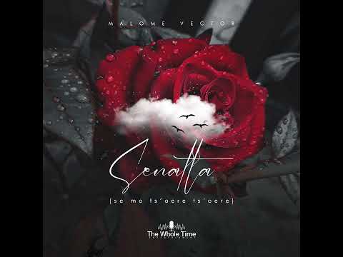 Malome Vector-Senatla(official audio)