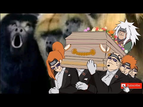 The master strikes again