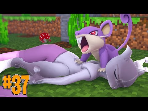 Minecraft: RATTATA MATA LENDARIO - PIXELMON Ep.37 ‹‹ P3DRU ››