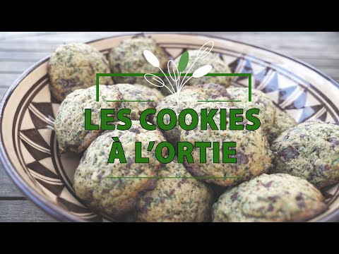 Recette Flan aux œufs et sève de bouleau