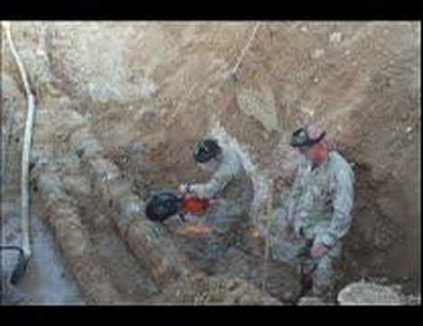 seabees