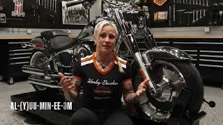 2025 Harley-Davidson Fat Boy Gray Ghost Icons Collection Overview | QuickShift