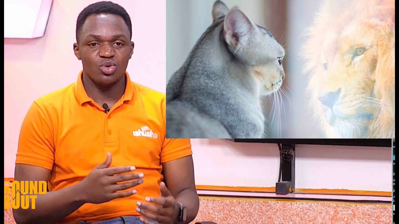 Kwiyumva biruse uko uri, Ubwiyemezi burenze ubushoboka nibimenyetso by'ubu burwayi #Mattermind