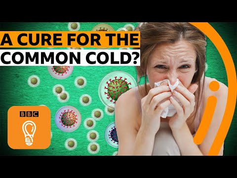 風邪の治療法がない本当の理由｜BBCアイデア (The real reason there's no cure for your cold | BBC Ideas)