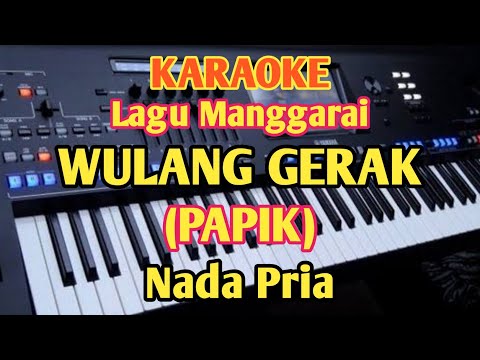 Karaoke Wulang Gerak - Cipt.Papik - Nada Pria