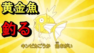 【ポケモン剣盾】色違いコイキングを釣り上げる　＃ポケモン剣盾　＃ライブ　＃色違い