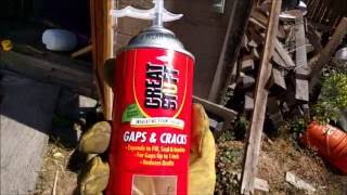 Permanently Remove Wasps From a Shed