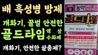 검은별무늬병(흑성병)은 방제 타이밍 중요???? 개화기, 꿀벌에 안전한 종합살균제 골드타임액상수화제???? …