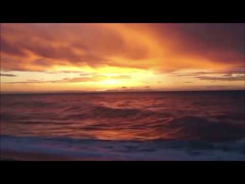 UnicSchooL - Nobody Knows (2018)