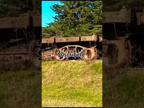 Naturaleza 💚, se ve Antigua vías de Tren 🚂 Empalme Olmos, Canelones, Uruguay 🇺🇾
