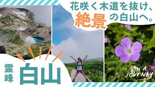 [Mt. Hakusan] Mountain climbing: A family hike from Betsudo Ido to the summit on the Sabo Shindo ...