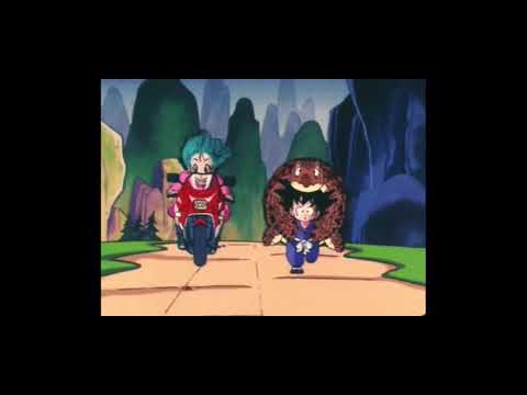 Dragonball Classic Folge 3 part 1 der Hern der Schidkröten