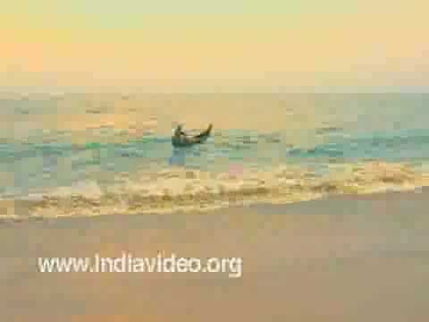 Fisherman sets out at Cherai beach, Ernakulam, India, Kerala Videos