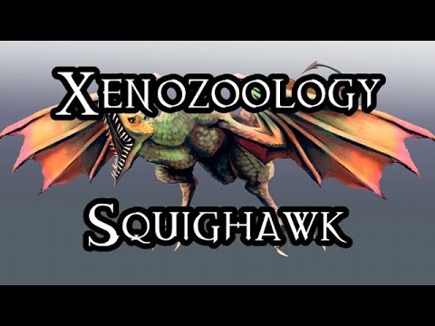 Xenozoology: Squighawk - 40K Theories
