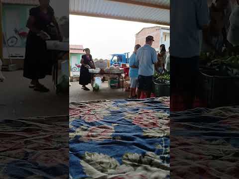 FEIRA de Gavião Bahia