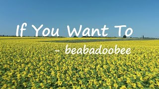 ​beabadoobee – If You Want To Lyrics